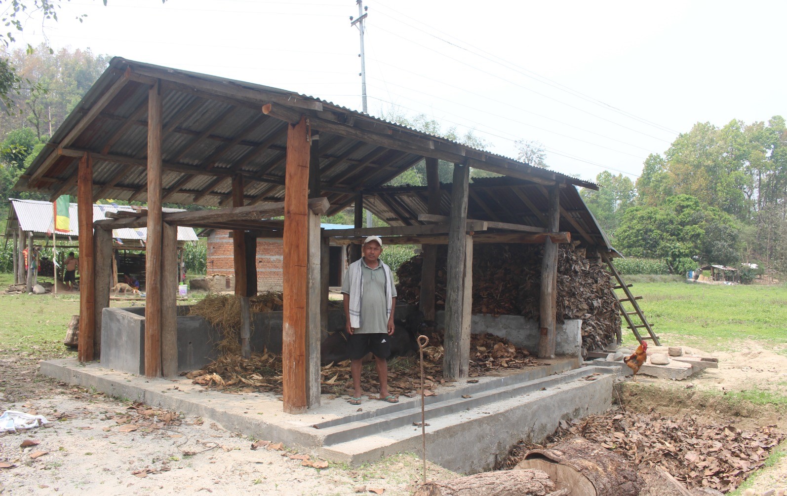 Improved Livestock Shed