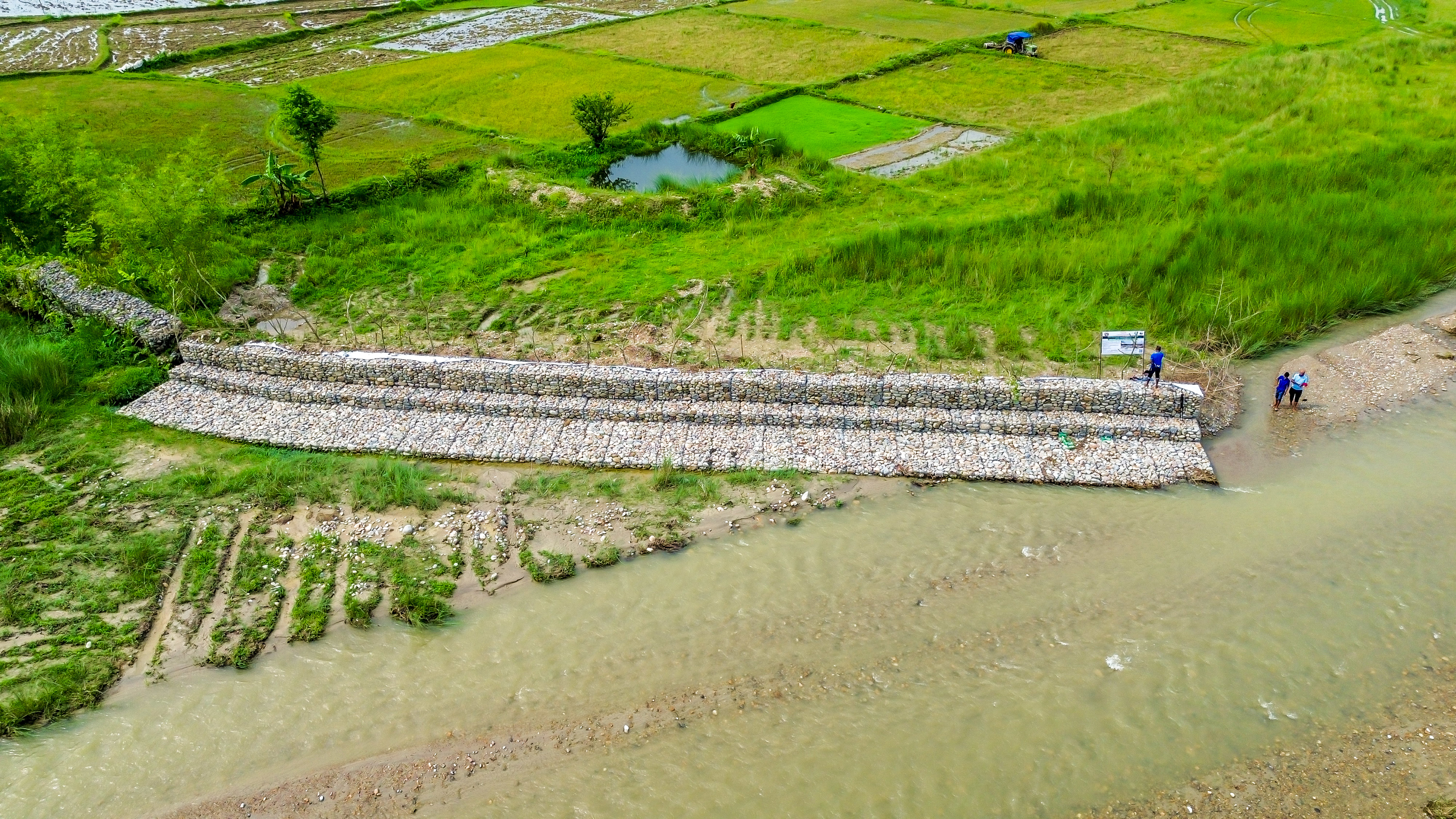 Riverbank protection/ degraded land restoration