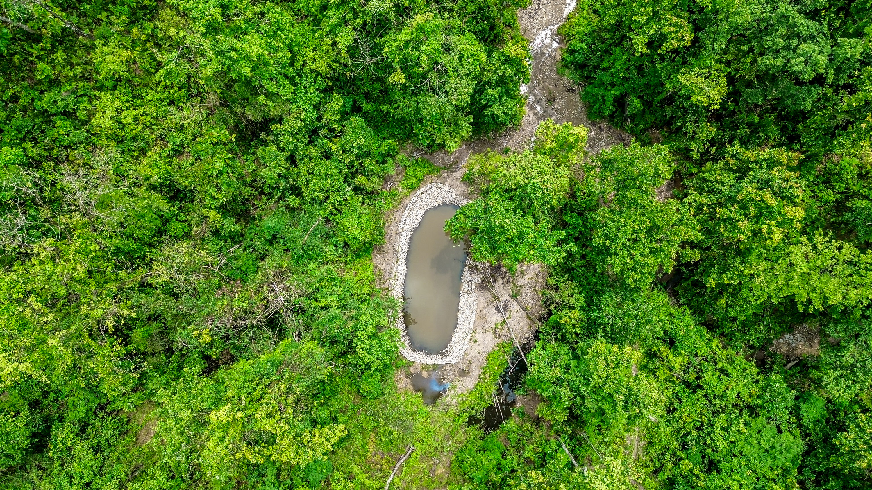 Conservation ponds