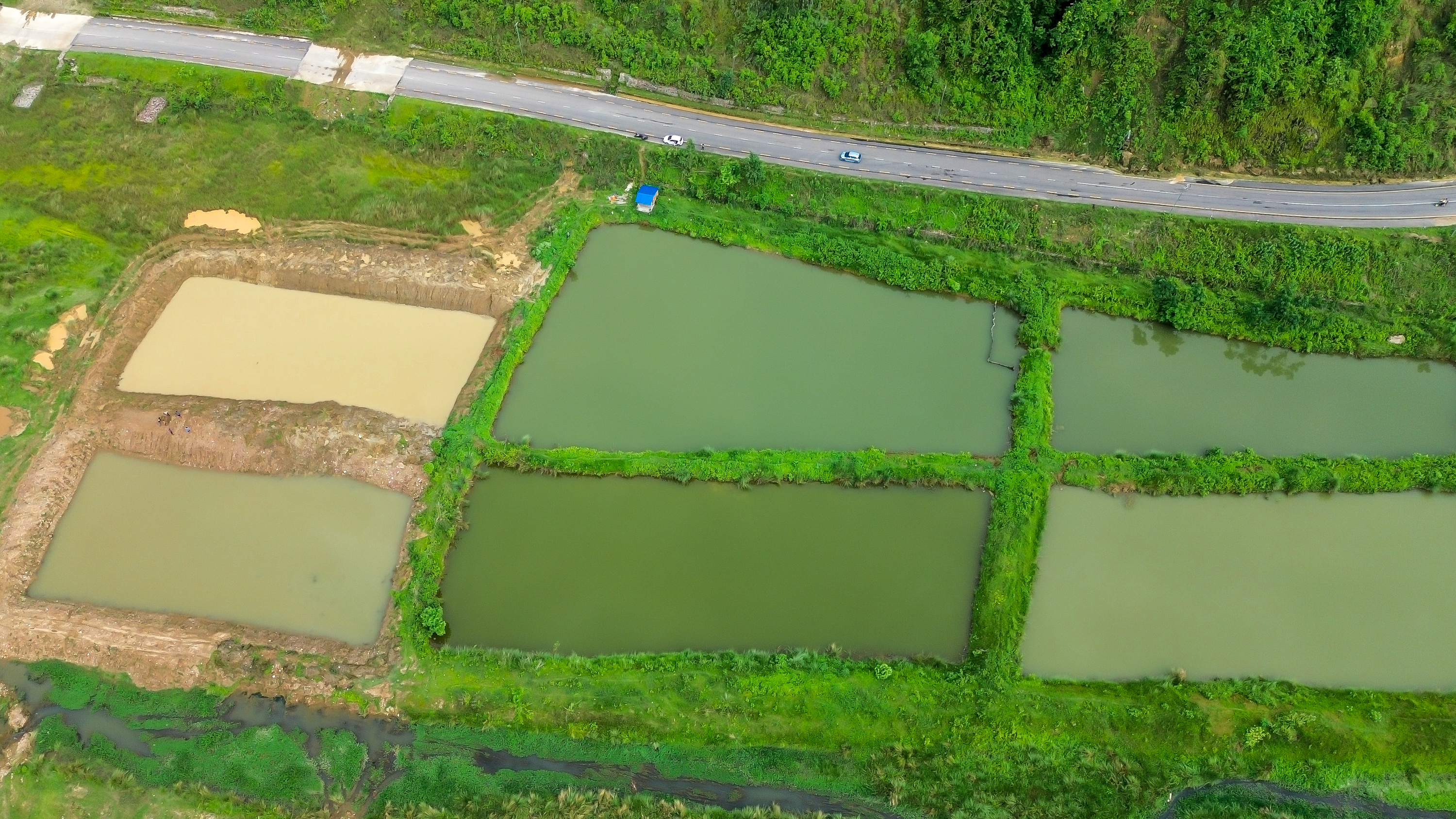 Fishery pond development II