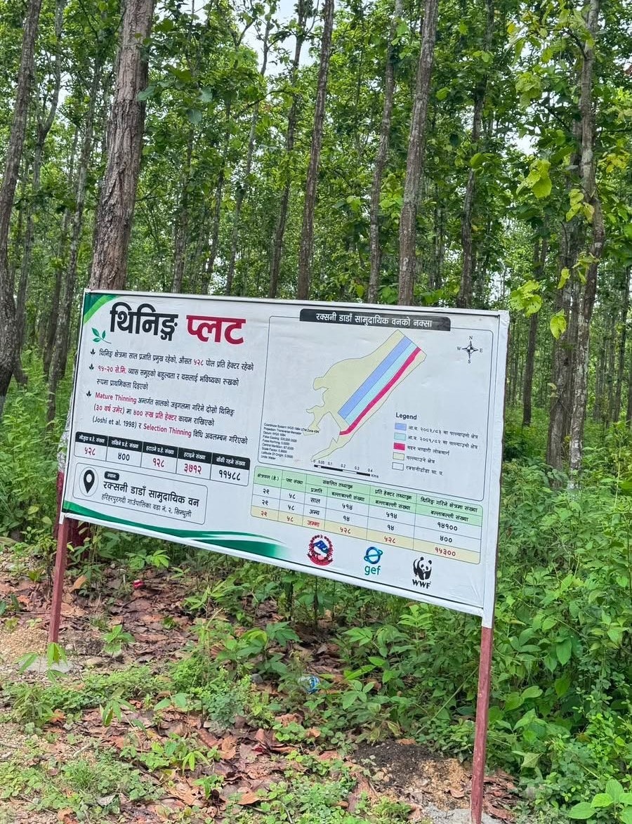 Thinning Plot, Raksini Danda CF